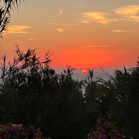 Villa Moma Giardino, Tennis E Piscina Panoramica Ischia Dış mekan fotoğraf