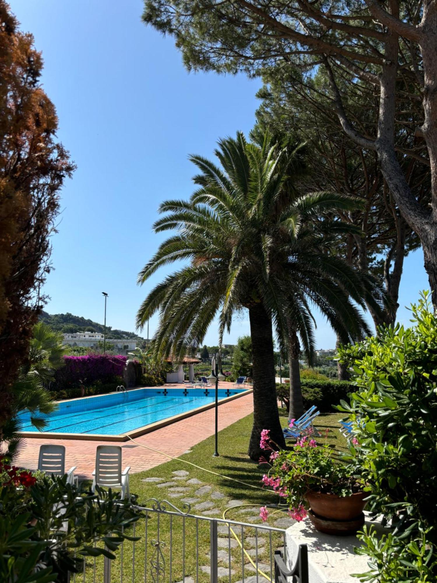 Villa Moma Giardino, Tennis E Piscina Panoramica Ischia Dış mekan fotoğraf