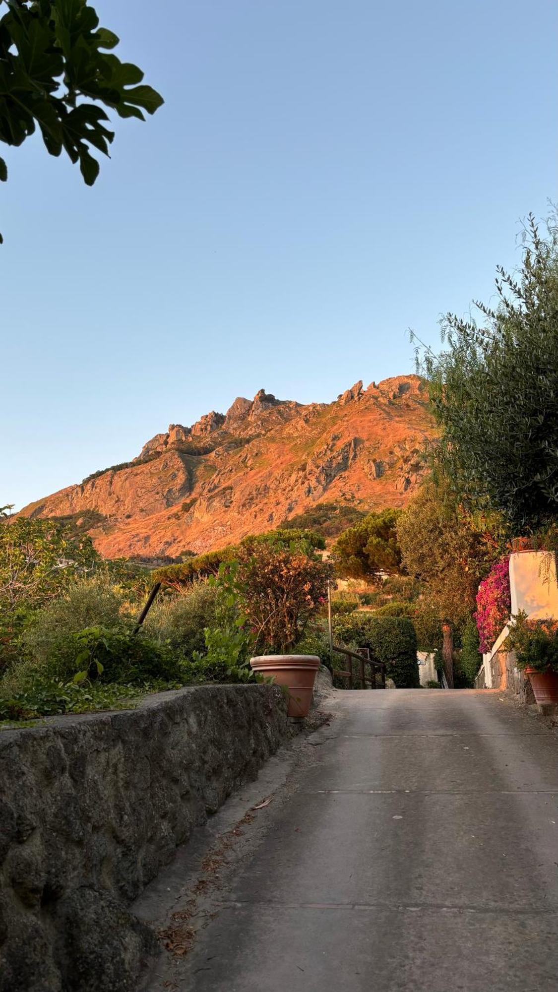 Villa Moma Giardino, Tennis E Piscina Panoramica Ischia Dış mekan fotoğraf