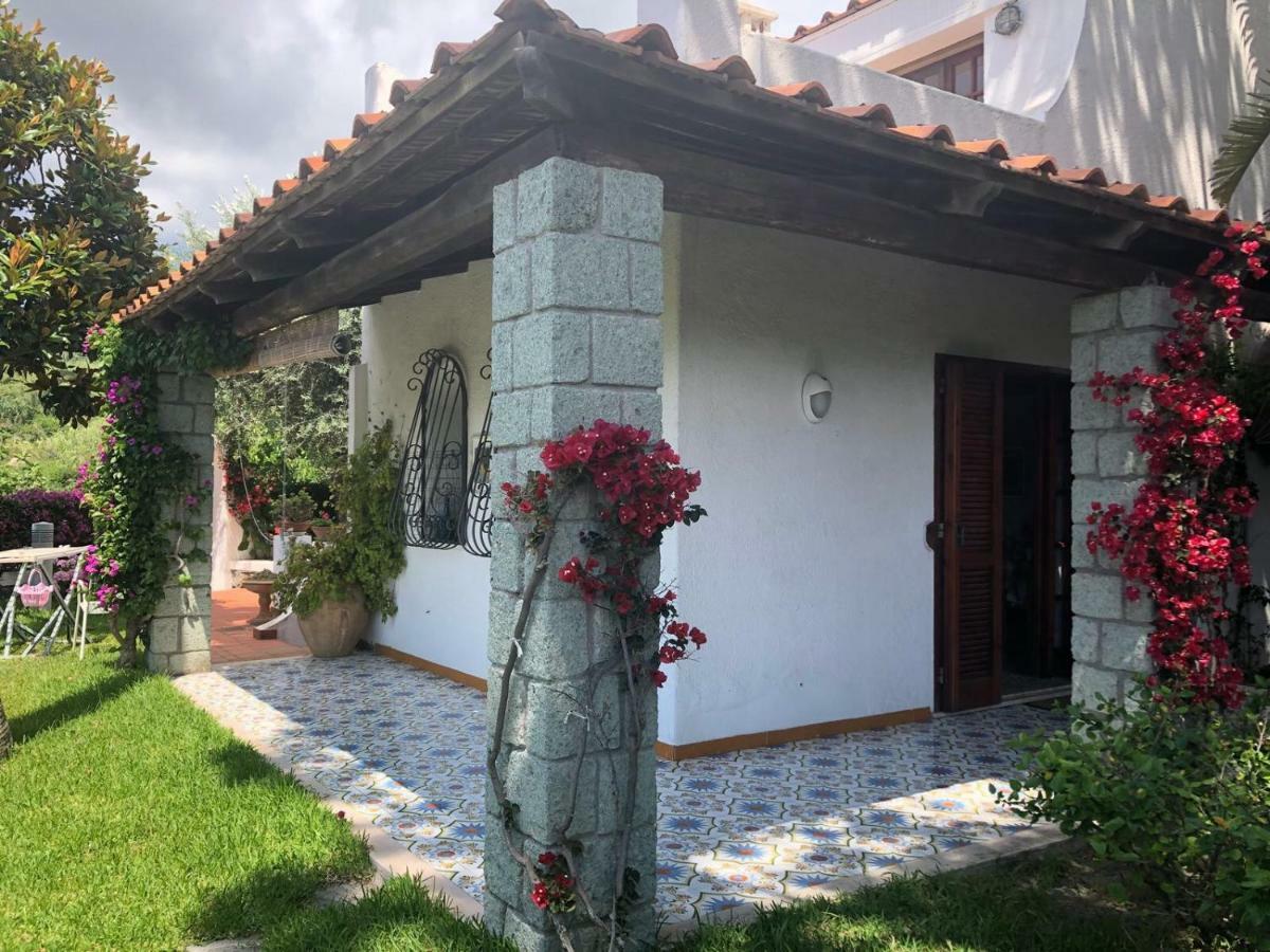 Villa Moma Giardino, Tennis E Piscina Panoramica Ischia Dış mekan fotoğraf
