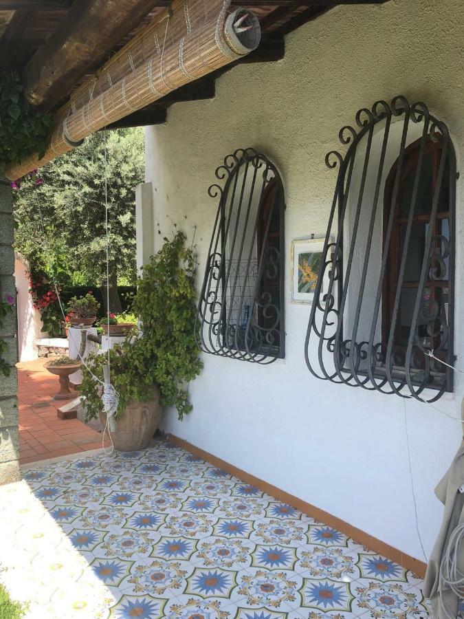Villa Moma Giardino, Tennis E Piscina Panoramica Ischia Dış mekan fotoğraf