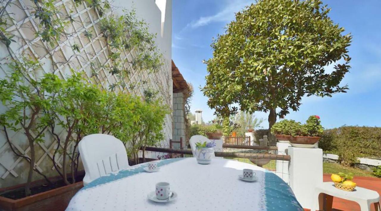 Villa Moma Giardino, Tennis E Piscina Panoramica Ischia Dış mekan fotoğraf