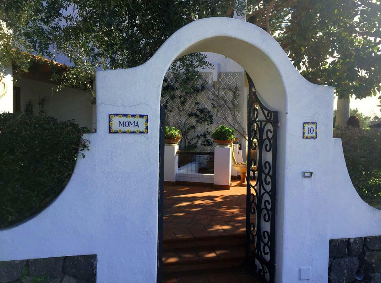Villa Moma Giardino, Tennis E Piscina Panoramica Ischia Dış mekan fotoğraf